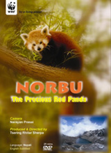 norbu_poster